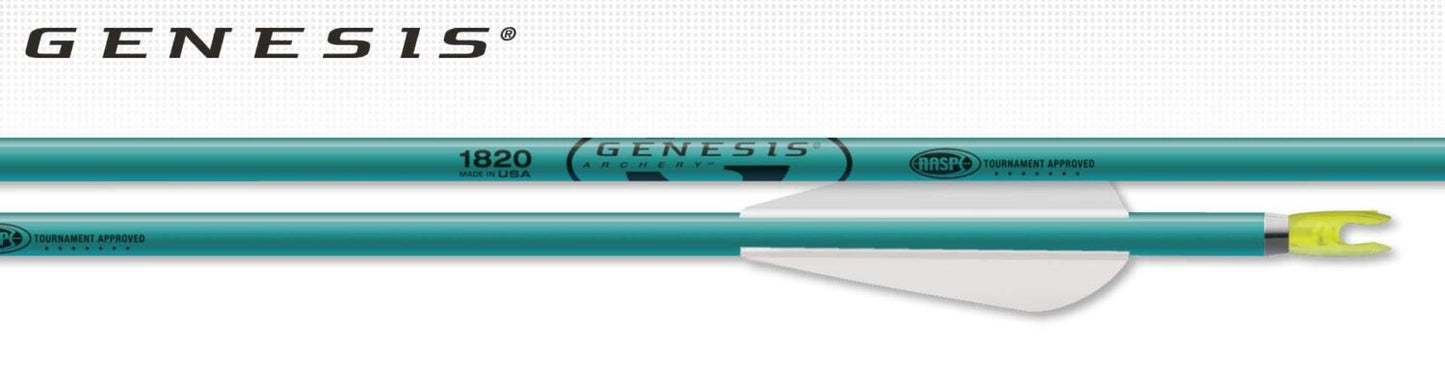 Easton Genesis Arrows